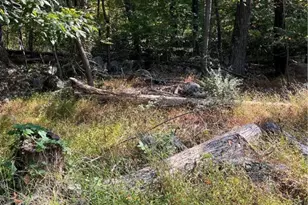 7893 Leaser Rd, Lynn Township, PA 19529 - Photo 3