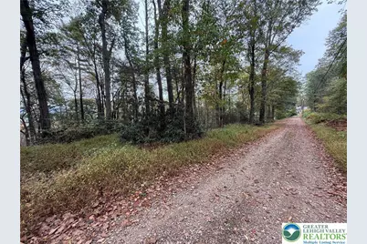 424 Mark Lane, Towamensing Twp, PA 18235 - Photo 3