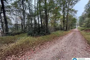 424 Mark Ln, Towamensing Twp, PA 18235 - Photo 3