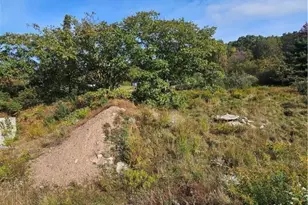 3078 Route 115, Chestnuthill Twp, PA 18330 - Photo 19