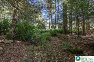 1733 State Route 903, Penn Forrest, PA 18229 - Photo 43