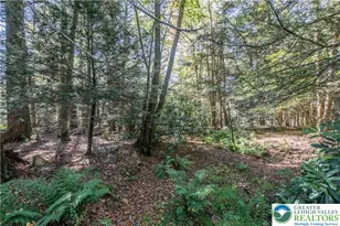 1733 State Route 903, Penn Forrest, PA 18229 - Photo 41