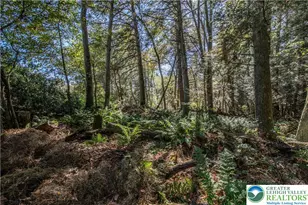 1733 State Route 903, Penn Forrest, PA 18229 - Photo 39