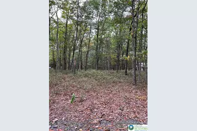 275 Forest Drive, Price Twp, PA 18325 - Photo 5