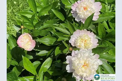 7007 Bausch Road, New Tripoli, PA 18066 - Photo 27