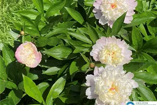 7007 Bausch Rd, New Tripoli, PA 18066 - Photo 27