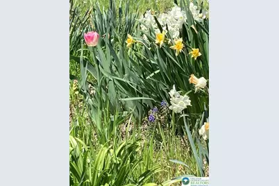 7007 Bausch Road, New Tripoli, PA 18066 - Photo 29