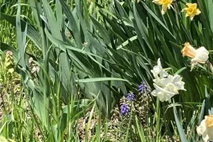 7007 Bausch Rd, New Tripoli, PA 18066 - Photo 29