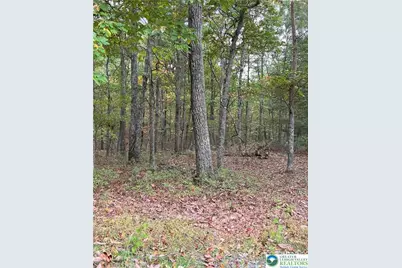 289 Forest Drive, Price Twp, PA 18325 - Photo 3