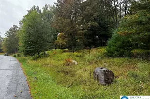 40 Kent Clarke Rd, Kidder, PA 18624 - Photo 7