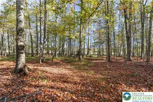 Cygnus Rd, Lake Ariel, PA 18436 - Photo 1