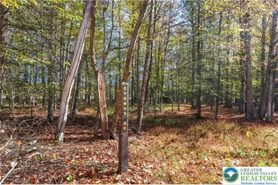 Cygnus Road, Lake Ariel, PA 18436 - Photo 3