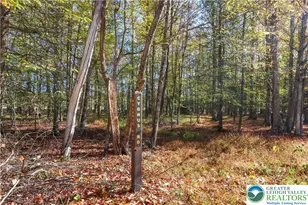 Cygnus Rd, Lake Ariel, PA 18436 - Photo 3