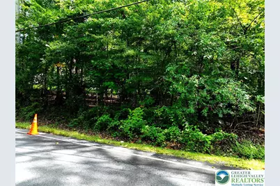 Molasses Road, Washington Twp, PA 18013 - Photo 7