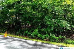 Molasses Rd, Washington Twp, PA 18013 - Photo 7