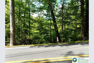 Molasses Road, Washington Twp, PA 18013 - Photo 1