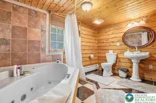 493 Lake Dr, Nesquehoning Boro, PA 18240 - Photo 59