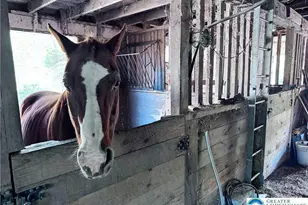 3371 Mathews Ln, Lower Macungie Twp, PA 18011 - Photo 73