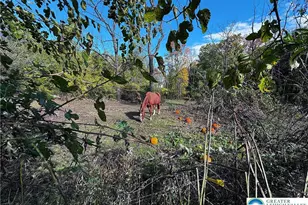 3371 Mathews Ln, Lower Macungie Twp, PA 18011 - Photo 75