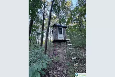 3371 Mathews Lane, Lower Macungie Twp, PA 18011 - Photo 87