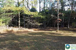 160 Grassy Rd, Polk Twp, PA 18333 - Photo 37