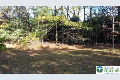 160 Grassy Road, Polk Twp, PA 18333 - Photo 39