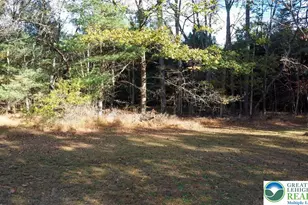 160 Grassy Rd, Polk Twp, PA 18333 - Photo 39