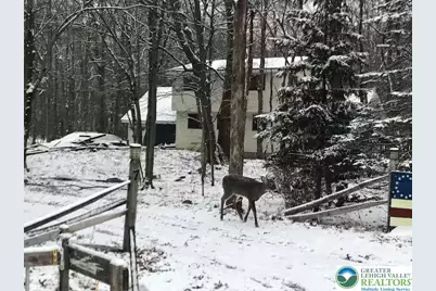 7 Wintergreen Court, Penn Forrest, PA 18210 - Photo 33