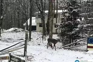 7 Wintergreen Ct, Penn Forrest, PA 18210 - Photo 33