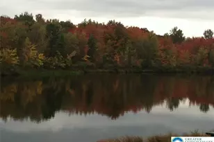 7 Wintergreen Ct, Penn Forrest, PA 18210 - Photo 29