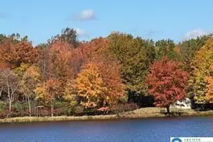 7 Wintergreen Ct, Penn Forrest, PA 18210 - Photo 43