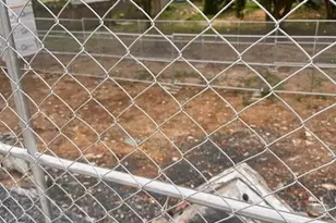 911 Ferry St, Easton, PA 18042 - Photo 3