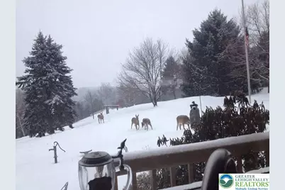 3511 Timber Lane, Washington Township, PA 18080 - Photo 27