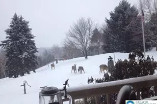 3511 Timber Ln, Washington Township, PA 18080 - Photo 27