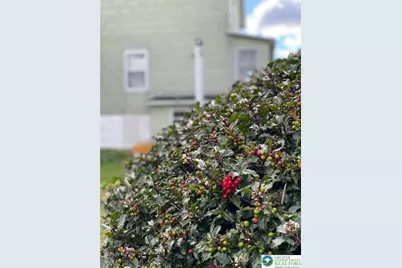 36 E Fell Street, Summit Hill Boro, PA 18250 - Photo 43