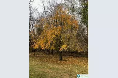 4905 Cedar Grove, Bangor Boro, PA 18013 - Photo 49