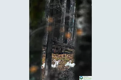 1456 Clover Road, Tunhannock, PA 18334 - Photo 1