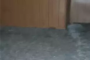 224 Main St, , PA 17934 - Photo 3