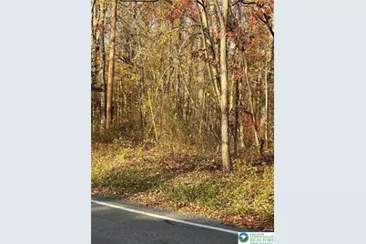 Shooktown Road, Washington Twp, PA 18013 - Photo 13