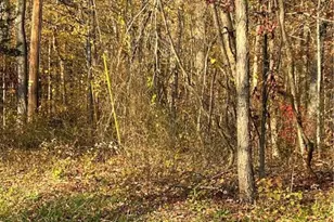 913 Roseto Ave, Washington Twp, PA 18013 - Photo 13