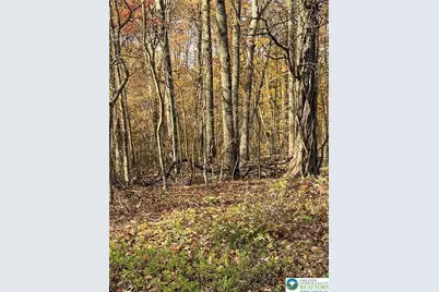 Shooktown Road, Washington Twp, PA 18013 - Photo 11