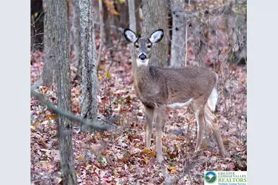 119 Tumbleweed Drive, Tunkhannock Twp, PA 18334 - Photo 1