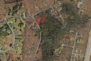 169 Yellow Run Rd, Penn Forrest, PA 18229 - Photo 5