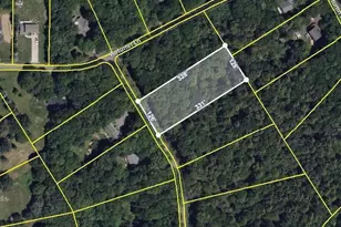 169 Yellow Run Rd, Penn Forrest, PA 18229 - Photo 3