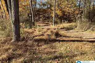 12 Lumber Ln, West Penn Twp, PA 17960 - Photo 5