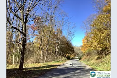 12 Lumber Lane, West Penn Twp, PA 17960 - Photo 11