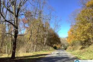 12 Lumber Ln, West Penn Twp, PA 17960 - Photo 11