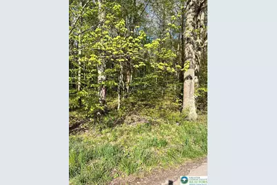 318 Birch Drive, Tunhannock, PA 18610 - Photo 1