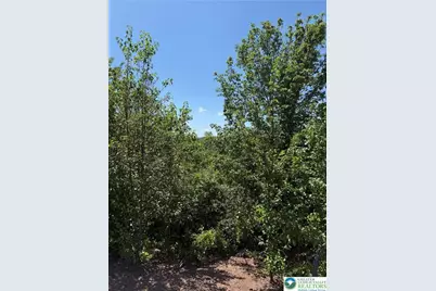 S Red Oak Terrace, West Penn Twp, PA 17960 - Photo 3