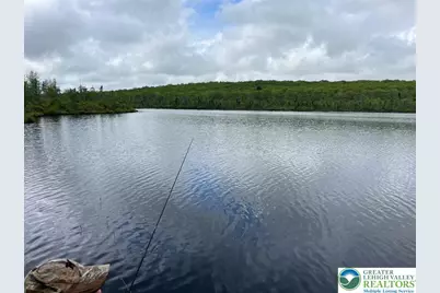 119 Little Mud Pond Road, Porter Twp, PA 18328 - Photo 23